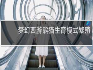 梦幻西游熊猫生育模式繁殖