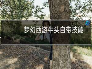 梦幻西游牛头自带技能