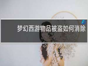 梦幻西游物品被盗如何消除