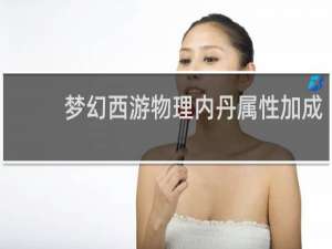 梦幻西游物理内丹属性加成