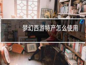 梦幻西游特产怎么使用