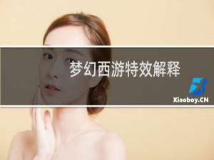 梦幻西游特效解释