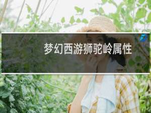 梦幻西游狮驼岭属性