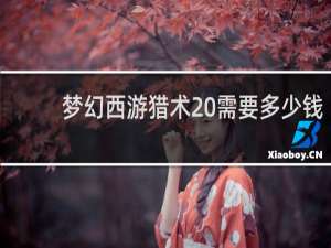 梦幻西游猎术20需要多少钱