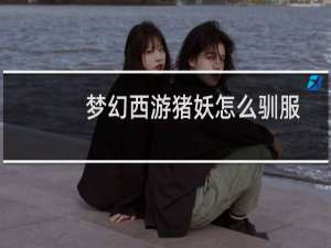 梦幻西游猪妖怎么驯服