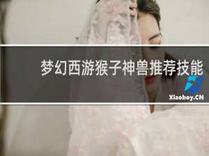 梦幻西游猴子神兽推荐技能