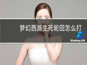 梦幻西游生死轮回怎么打