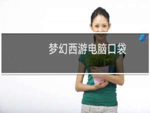 梦幻西游电脑口袋