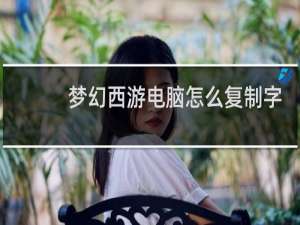梦幻西游电脑怎么复制字