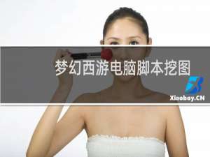 梦幻西游电脑脚本挖图