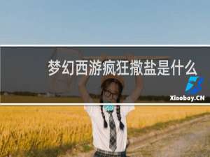 梦幻西游疯狂撒盐是什么