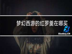梦幻西游的红罗羹在哪买