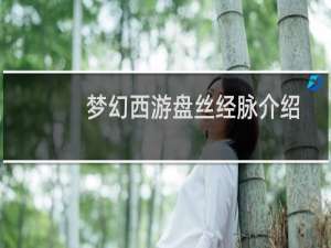 梦幻西游盘丝经脉介绍