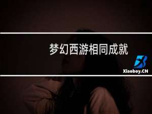 梦幻西游相同成就