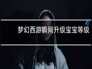 梦幻西游瞬间升级宝宝等级