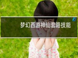 梦幻西游神仙套路技能