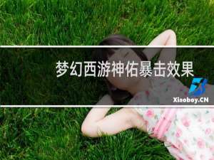 梦幻西游神佑暴击效果