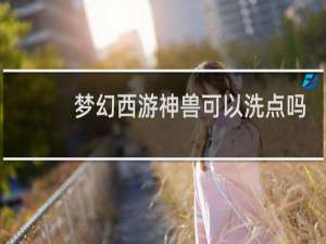 梦幻西游神兽可以洗点吗