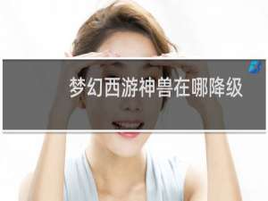 梦幻西游神兽在哪降级