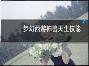 梦幻西游神兽天生技能