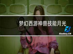 梦幻西游神兽技能月光