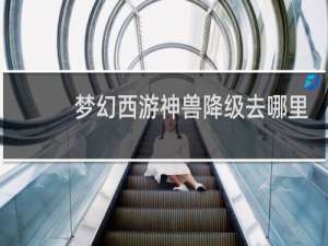 梦幻西游神兽降级去哪里