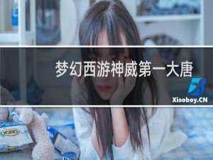 梦幻西游神威第一大唐