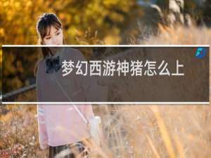 梦幻西游神猪怎么上