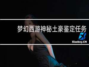 梦幻西游神秘土豪鉴定任务