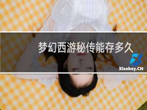 梦幻西游秘传能存多久