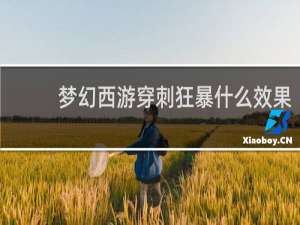 梦幻西游穿刺狂暴什么效果