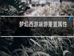 梦幻西游端游重置属性