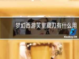 梦幻西游笑里藏刀有什么用