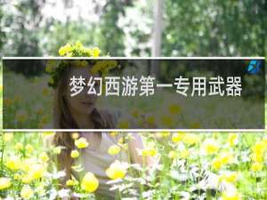 梦幻西游第一专用武器