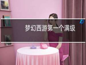 梦幻西游第一个满级
