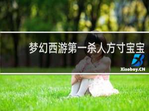 梦幻西游第一杀人方寸宝宝