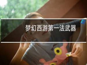 梦幻西游第一法武器