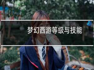 梦幻西游等级与技能