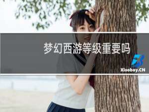 梦幻西游等级重要吗