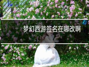 梦幻西游签名在哪改啊