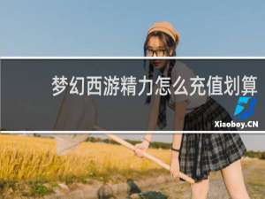 梦幻西游精力怎么充值划算