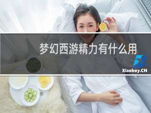 梦幻西游精力有什么用
