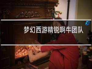梦幻西游精锐啊牛团队