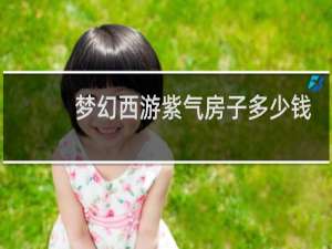 梦幻西游紫气房子多少钱