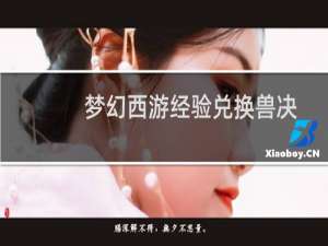 梦幻西游经验兑换兽决