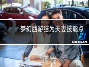梦幻西游结为夫妻技能点