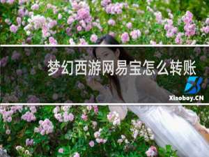 梦幻西游网易宝怎么转账