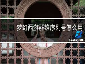 梦幻西游群雄序列号怎么用