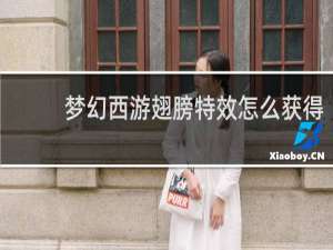梦幻西游翅膀特效怎么获得