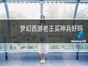 梦幻西游老王买神兵好吗